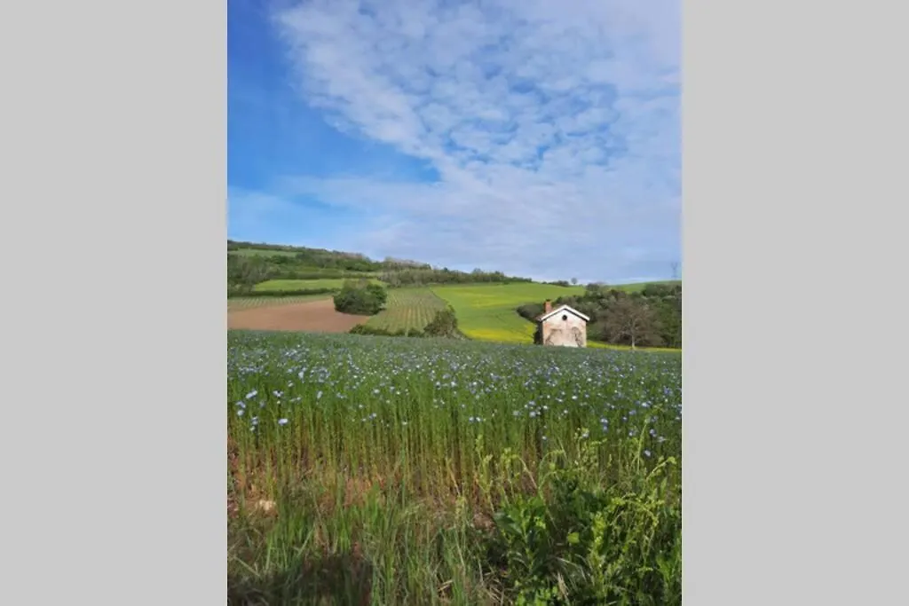La Dilettante, petite maison rénovée, avec jardin Vertaizon 0*,  France